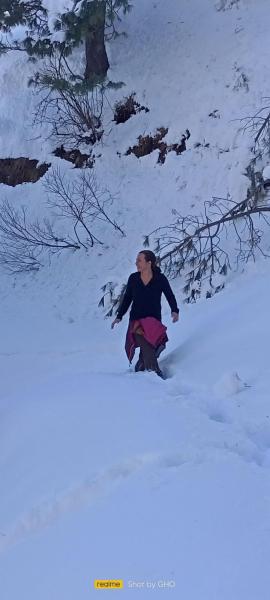 Shali Heights - A Himalayan Homestay